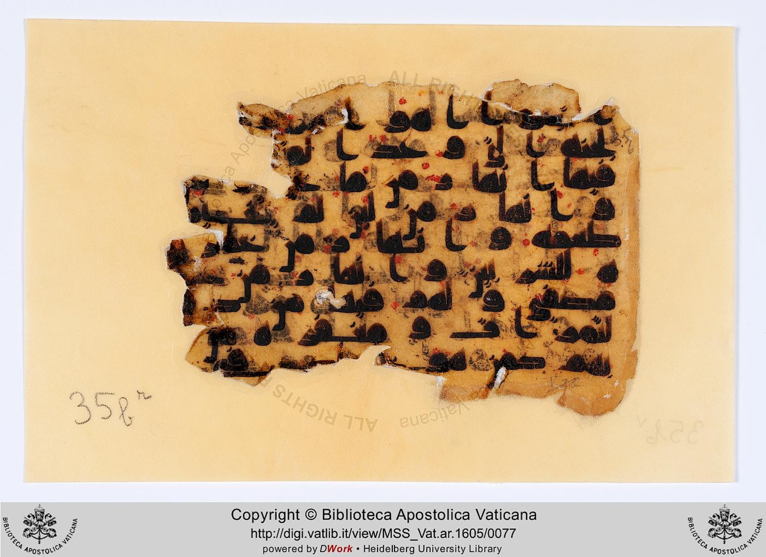 Rome, Biblioteca Apostolica Vaticana, Vat. Ar. 1605 (35) (Scan 1), in kūfī D.IV script, showing Surah 47:14 from 8th to 9th Century AD found in Fustat (Old Cairo), Egypt, currently housed at Biblioteca Apostolica Vaticana, Rome